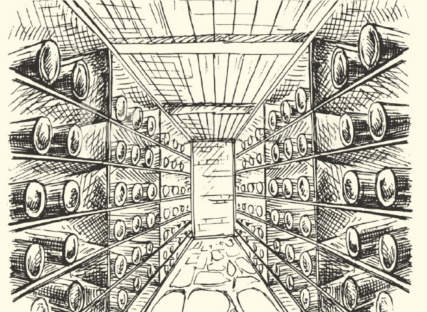 Bridges-Wine-Bar-Web-Design---Vintage-Cellar-Illustration-PH
